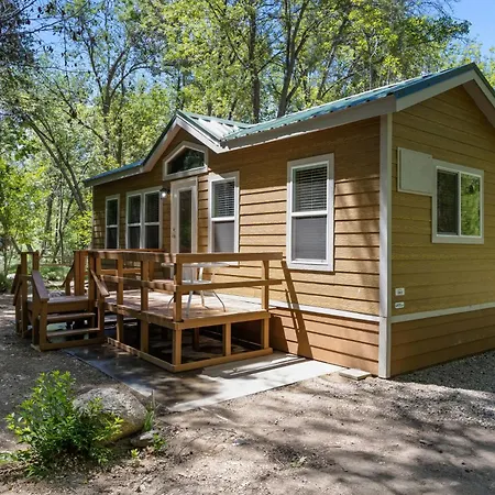 Brand New Cabins